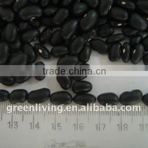 2011 New Active Market Black Bean(dry7.0-9.0mm ) thumbnail-1