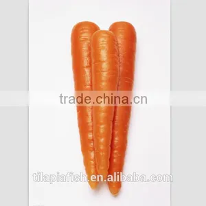 Size L Fresh Carrot on Sale thumbnail-1