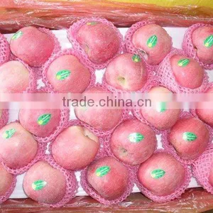 2012 New Season Fuji Apple Hot Sale thumbnail-1