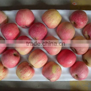 2015 New Crop Chinese Fresh Fuji Apple From Best Food thumbnail-6