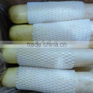 White Raddish Exporter thumbnail-2