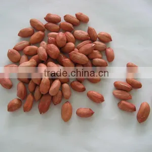 Shandong Peanut Kernels in Red Skin thumbnail-1