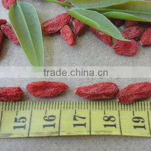 Goji Berry Farm Sale 380g/50 thumbnail-5