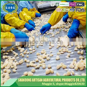 Shandong Frozen White Garlic Dice Can't Change Green thumbnail-4