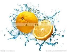 HP-220 + DM-15 Fruit Washing and Drying Machine thumbnail-5
