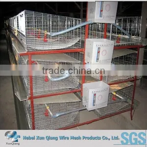 Galvanized Welded Wire Chicken Cages thumbnail-2