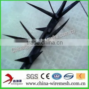 Galvanized Barbed Nails / Barbed Nails ( Factory ) thumbnail-2
