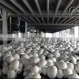 Aluminum Alloy Planting Frame thumbnail-3