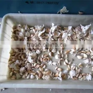 Good Selling Garlic Clove Separator Machine With Factory Price thumbnail-4