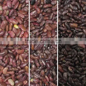 New Technology Ccd Purple Bean Color Sorter Machine thumbnail-2