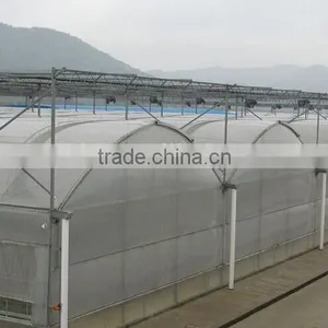 Used Hydroponic Greenhouses thumbnail-4
