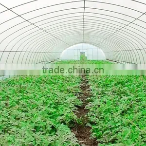 Tunnel Plastic Greenhouse Film Agriculture Greenhouse Poly Films thumbnail-2