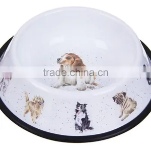 Carbon Steel With Powder Coated Food/Water Serving Cat Feed Pet Bowl thumbnail-3