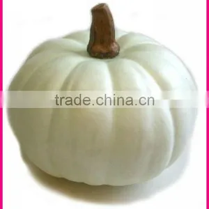2011 Hot-Selling Natural Popular Artificial White Pumpkin thumbnail-1