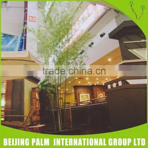 Latest Custom Design Artificial Bonsai Supplies thumbnail-6