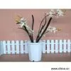 Sell Plastic Flowerpot thumbnail-1