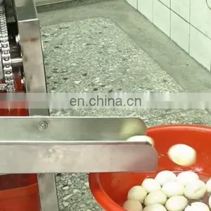 Automatic Exported Type Boiled Quail Egg Shell Removal Machine With Factory Price for Sale thumbnail-4