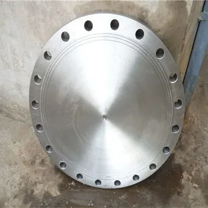 Customized Cr Cf Plate Flange For Pressure Vessel thumbnail-5