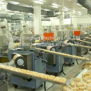 Application of Extrusion Technology in Food Processing (1) thumbnail-1