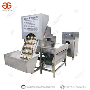 Industrial Onion Peeling Machine Fast Speed Fruit And Vegetable Processing Equipment thumbnail-1