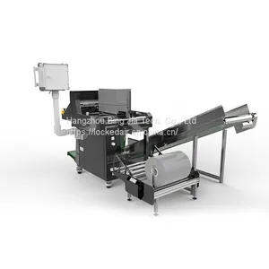 Automatic Bagging Machine thumbnail-1
