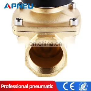 Valves Water Solenoid Valve for Water Pneumatic Valve 220V 12V DN08 DN10 DN15 DN20 DN25 1/4