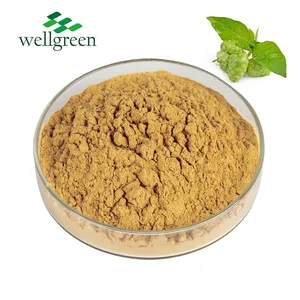 High Quality 100% Natural Supply Noni Fruit Extract Noni Fruit Enzyme Powder thumbnail-1