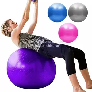 Gym Ball 65cm thumbnail-1