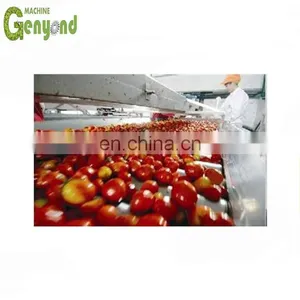 Complete Tomato Paste Concentration Paste Processing Equipment/machine thumbnail-2