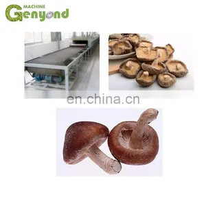 Hot Sale Fruit Drying Line for Dehydrated Fruit thumbnail-4