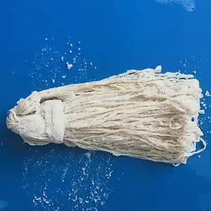 Beef Casings thumbnail-2