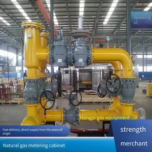 Cng Pressure Reduction Skid Gas Pressure Regulating Box Equipment, Lng Supercharger Pressure Regulating and Metering Cabinet, Hongyi thumbnail-3