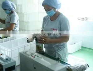 China CE Certificate Commercial Pet/ Fish Feed Pellet Machine thumbnail-3