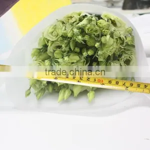 Wide Varieties New Coming Beautiful Hybrid Eustoma Grandiflorum thumbnail-4