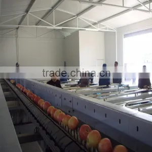 Lemon Fruit Sorting Washing Machine thumbnail-3