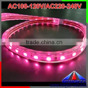 AC110V Magenta LED Strip thumbnail-3