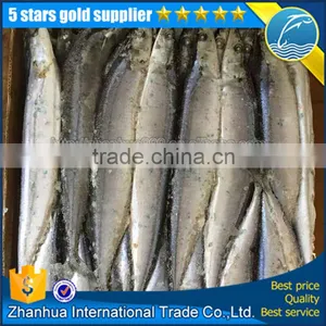 Pacific Saury Fish Whole Round thumbnail-1
