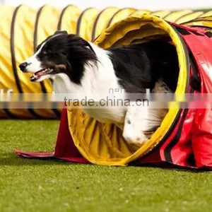 Pet Traning Hose PVC Pet Tunnel thumbnail-1