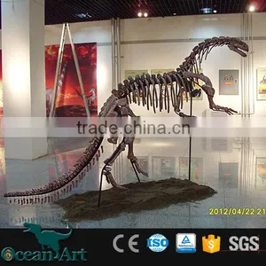 OAV3089 Hot Real Size Dinosaur Bone thumbnail-3