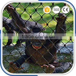 High Strength Customized Stainless Steel Animal Enclosure Zoo Mesh thumbnail-4