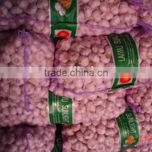 Chinese Normal Garlic thumbnail-6