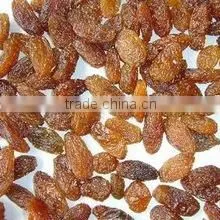 Supply Varies Dried Raisins in High Quality thumbnail-1