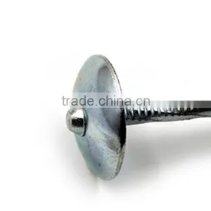 Factory Professional High Quality of China Umbrella Head Roofing Nails thumbnail-2