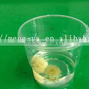 8oz Disposable Transparent Plastic Cup thumbnail-1