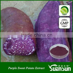 High Quality Purple Sweet Potato Color Organic Purple Sweet Potato Powder thumbnail-1