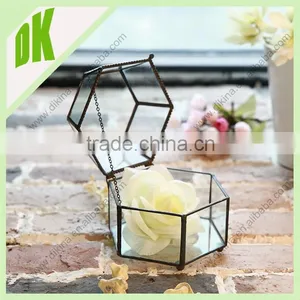 Beautiful Geometric Shaped Glass Succulent, Fairy Garden or Air Plant Terrarium//wholesale Glass Bell Jars Wholesale thumbnail-1