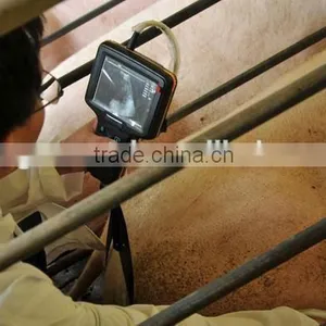 Digital Vet Ultrasound Scanner Can Waterproof thumbnail-4