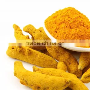 Bulp Turmeric Fingure in Indi thumbnail-1