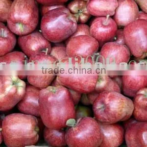 Red Delicious Apple New Crop thumbnail-1