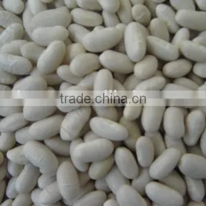 2015 New Crop Price of Baishake White Kidney Beans From China thumbnail-1